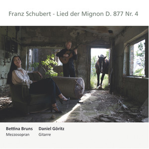 Lied der Mignon, D. 877: No. 4 (Arr. for Voice and Guitar by Daniel Göritz)