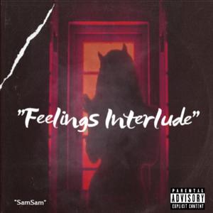 "Feelings Interlude" (Explicit)