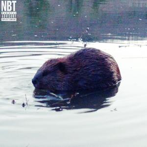 BEAVER (feat. Marlon DuBois, Milkreset, Aceii, Henry Mosto, Ricky Chix & Dugan) (Explicit)