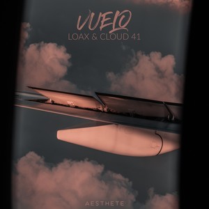 Vuelo