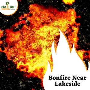 Steady Campfire Crackles