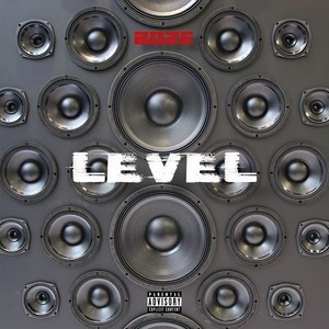 Level (Explicit)