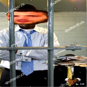 Raccoon Gate (Explicit)