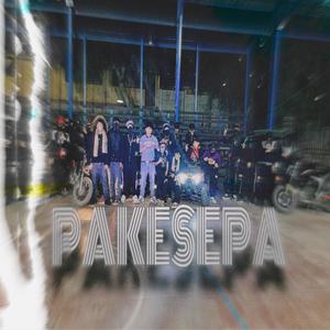 Pakesepa (feat. alan.40 & Nessi jbs) [Explicit]