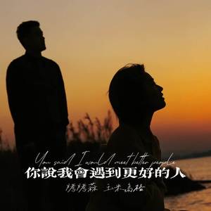 你说我会遇到更好的人