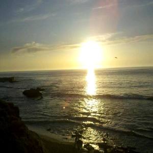 Goodbye Peaceful Hope