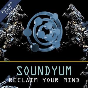 Reclaim Your Mind (Original Mix)