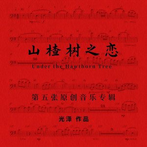 山楂树之恋