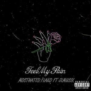 FEEL MY PAIN (feat. JLMusix) [Explicit]