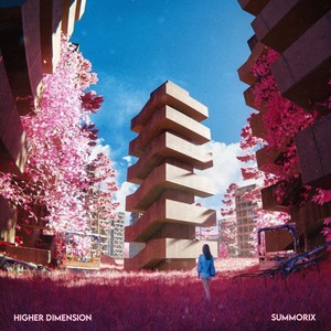 Higher Dimension