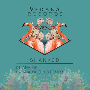 Analog (Unic Remix)