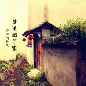 梦里回了家
