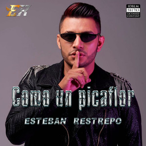Como Un Picaflor (COVER版)