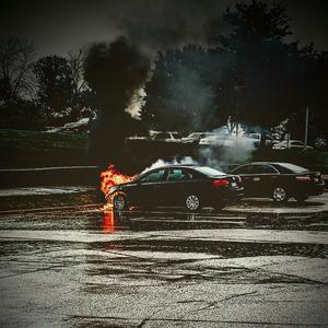 My Self - Destruction Is The Cause Of All These WildFires (Explicit)