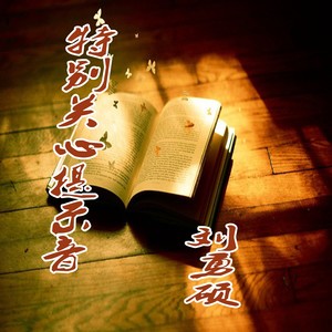 特别关心提示音