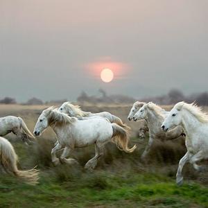 let it down (Explicit)