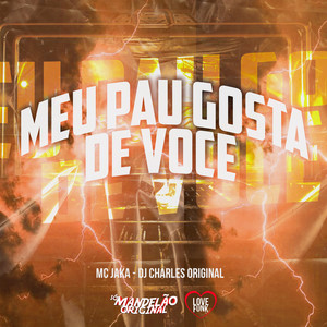 Meu Pau Gosta de Voce (Explicit)