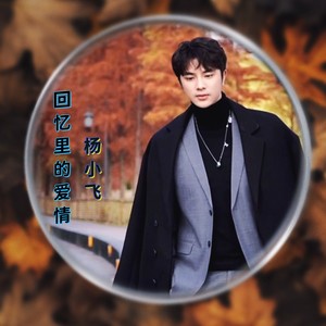 回忆里的爱情 (伴奏)