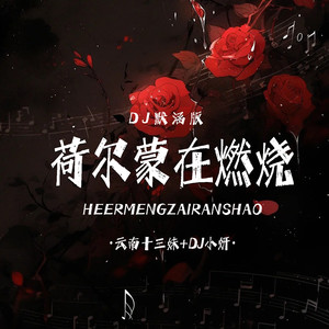 荷尔蒙在燃烧 (DJ默涵版)封面