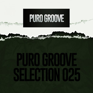 PURO GROOVE SELECTION 025