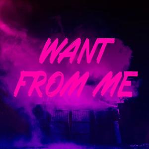 Want From Me (Explicit)