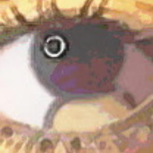 Point vs. Point of View (Explicit)