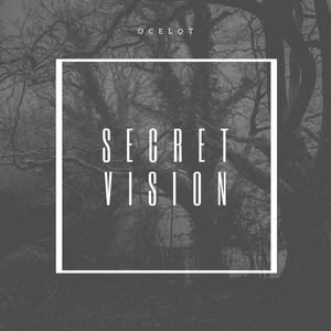 Secret Vision