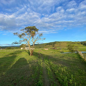 I'm In Love With You But Survive Is Wrong (Explicit)