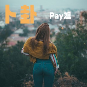 卜卦 (pay姐版慢摇)