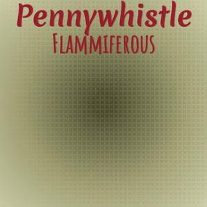 Pennywhistle Flammiferous