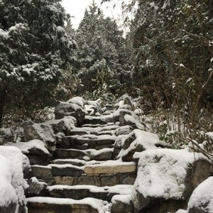 Froggy-北京下雪了，你不在我身边 (人间大炮 remix)