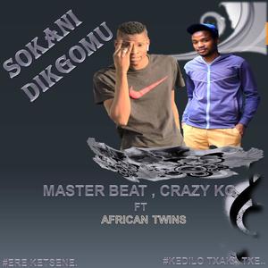 Sokani Dikgomu(feat. CRAZY KG)