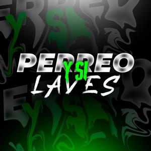 PERREO Y SI LA VES (feat. Gonza Reyes) (Axel DJ Remix)