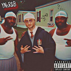 YNsRNB (Explicit)