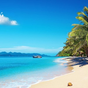 至少还有你 (Live)