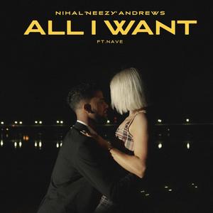 All I Want (feat. NAVE)