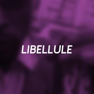 Libellule (Explicit)