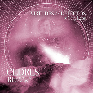 Virtudes // Defectos (RE VERSIONES RE CASERAS)