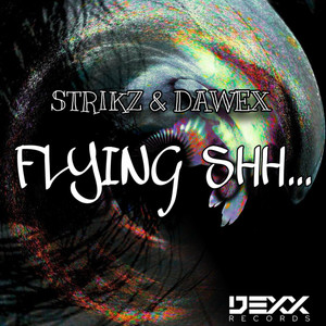 Flying Shhh... (Original Mix)