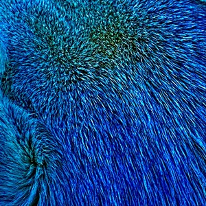 Run Along(Stay Strong)