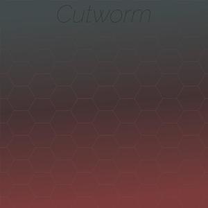 Cutworm
