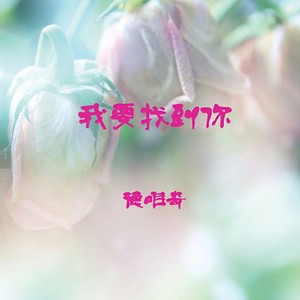 德唯奇 - 我要找到你 (DJ版)