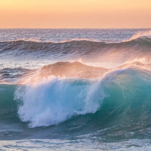 go where your heart takes you (Explicit)