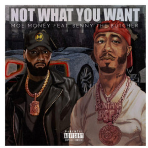 Not What You want (This Aint) (Explicit)
