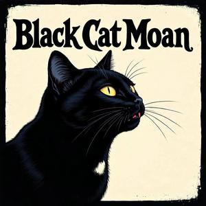 Black Cat Moan