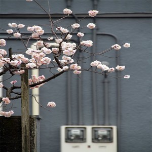 酒瓶瓶高来酒杯杯低