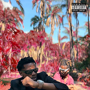 Animated Guap (Explicit)