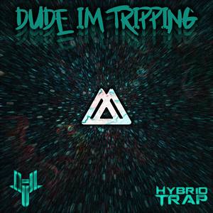 Dude I'm Tripping