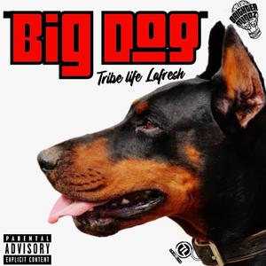 Big Dog (Explicit)