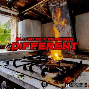 Different (feat. Blu Note) [Explicit]